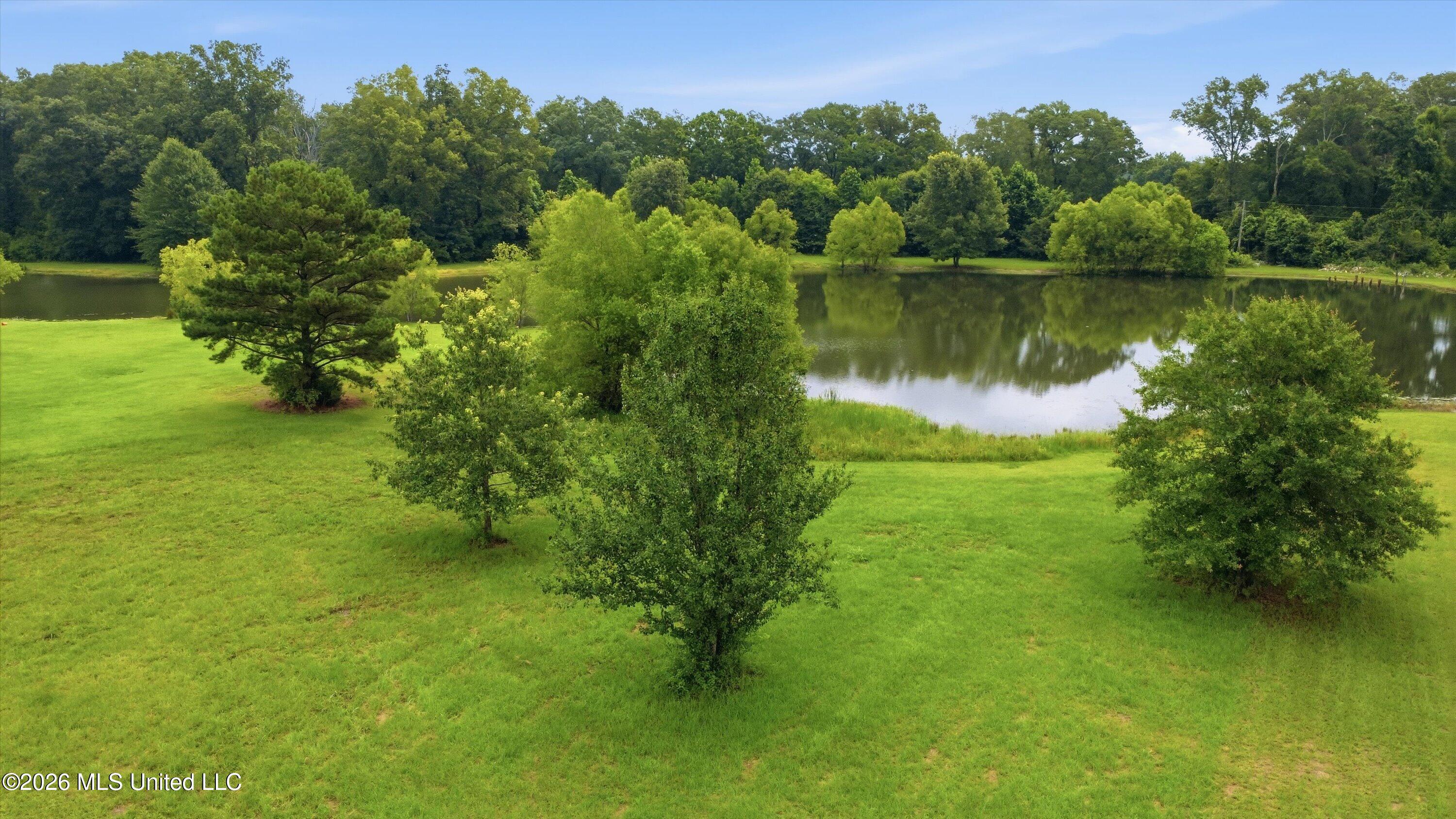 142 Iron Oak Ridge Brandon, MS 39042 - Photo 20 of 26 24-142_Iron_Oak_Ridgee_025
