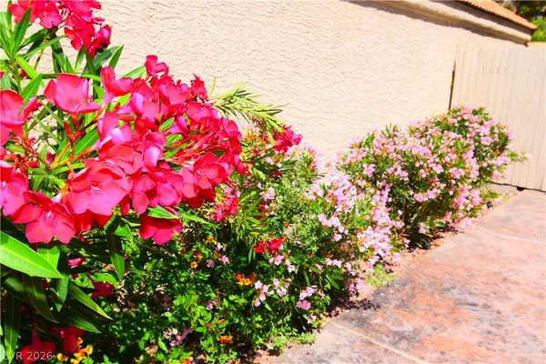 $3,000 | 267 Westwind Road, Henderson, NV 89074