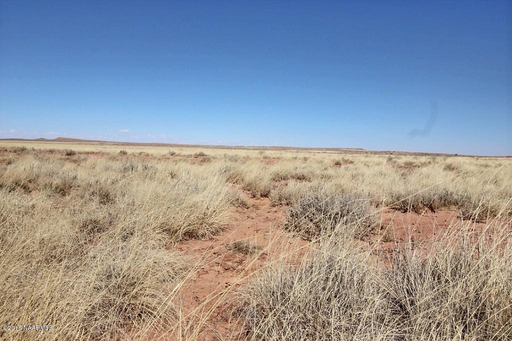 2 Turquoise Ranch Leuppx, AZ 86035 - Photo 11 of 20 exposio_0001
