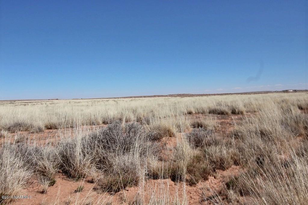 2 Turquoise Ranch Leuppx, AZ 86035 - Photo 12 of 20 exposio_0007