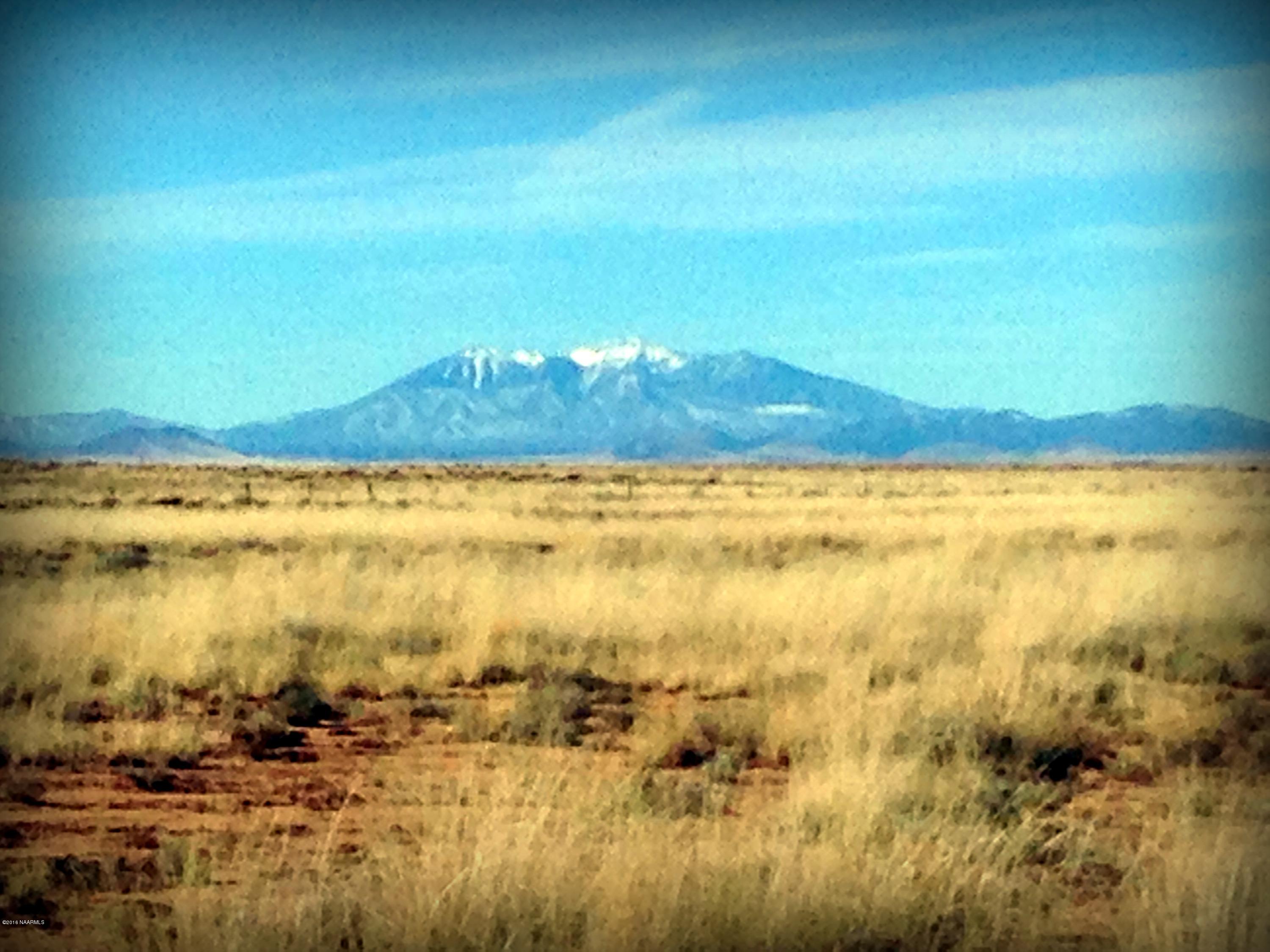 2 Turquoise Ranch Leuppx, AZ 86035 - Photo 5 of 20 IMG_0392