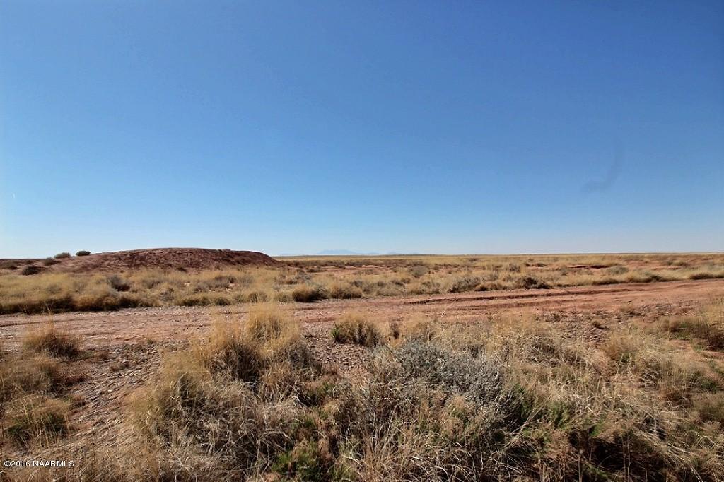 2 Turquoise Ranch Leuppx, AZ 86035 - Photo 8 of 20 exposio_0003
