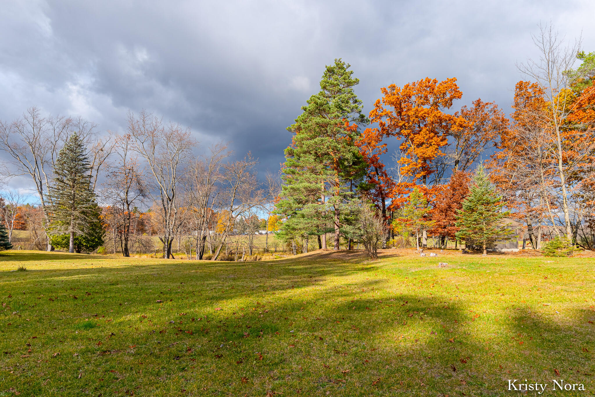 11026 West Sidney Road Gowen, MI 49326 - Photo 4 of 27 RHPRE_251105_029