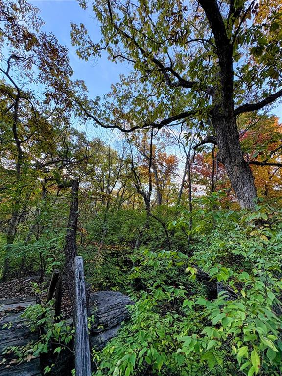 8505 Pershing Road Raytown, MO 64138 - Photo 25 of 38