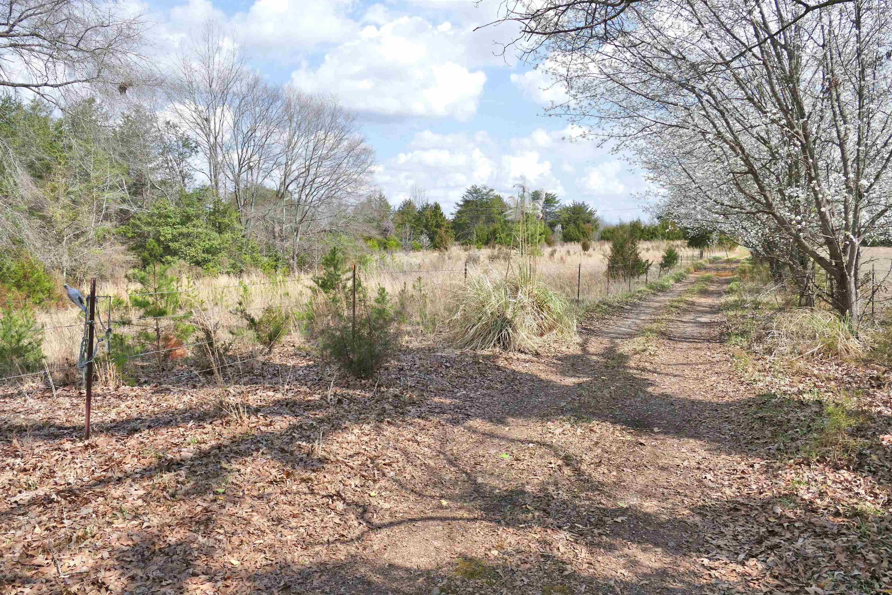 333 Ross Hill Road Gaffney, SC 29341 - Photo 17 of 32