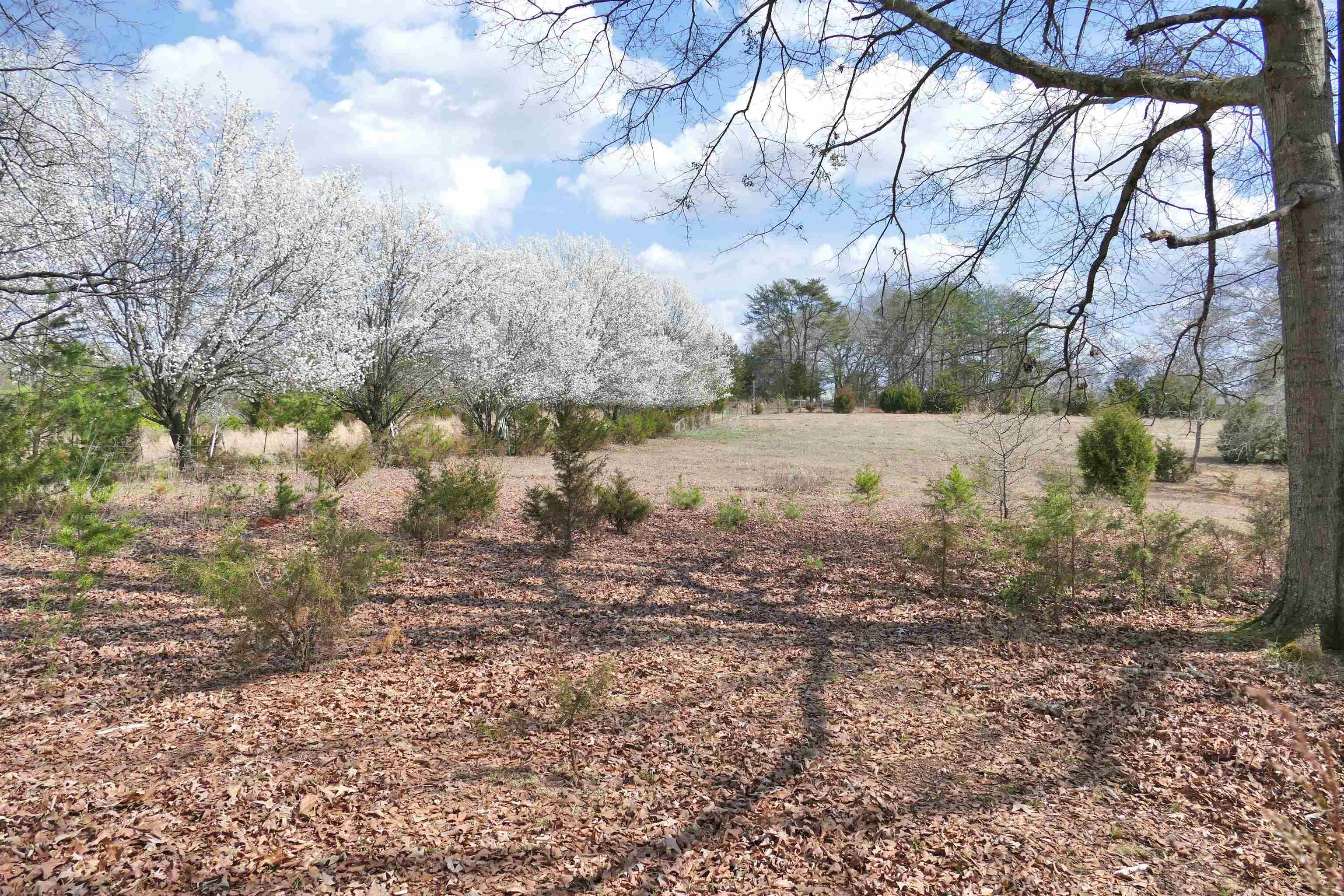 333 Ross Hill Road Gaffney, SC 29341 - Photo 18 of 32