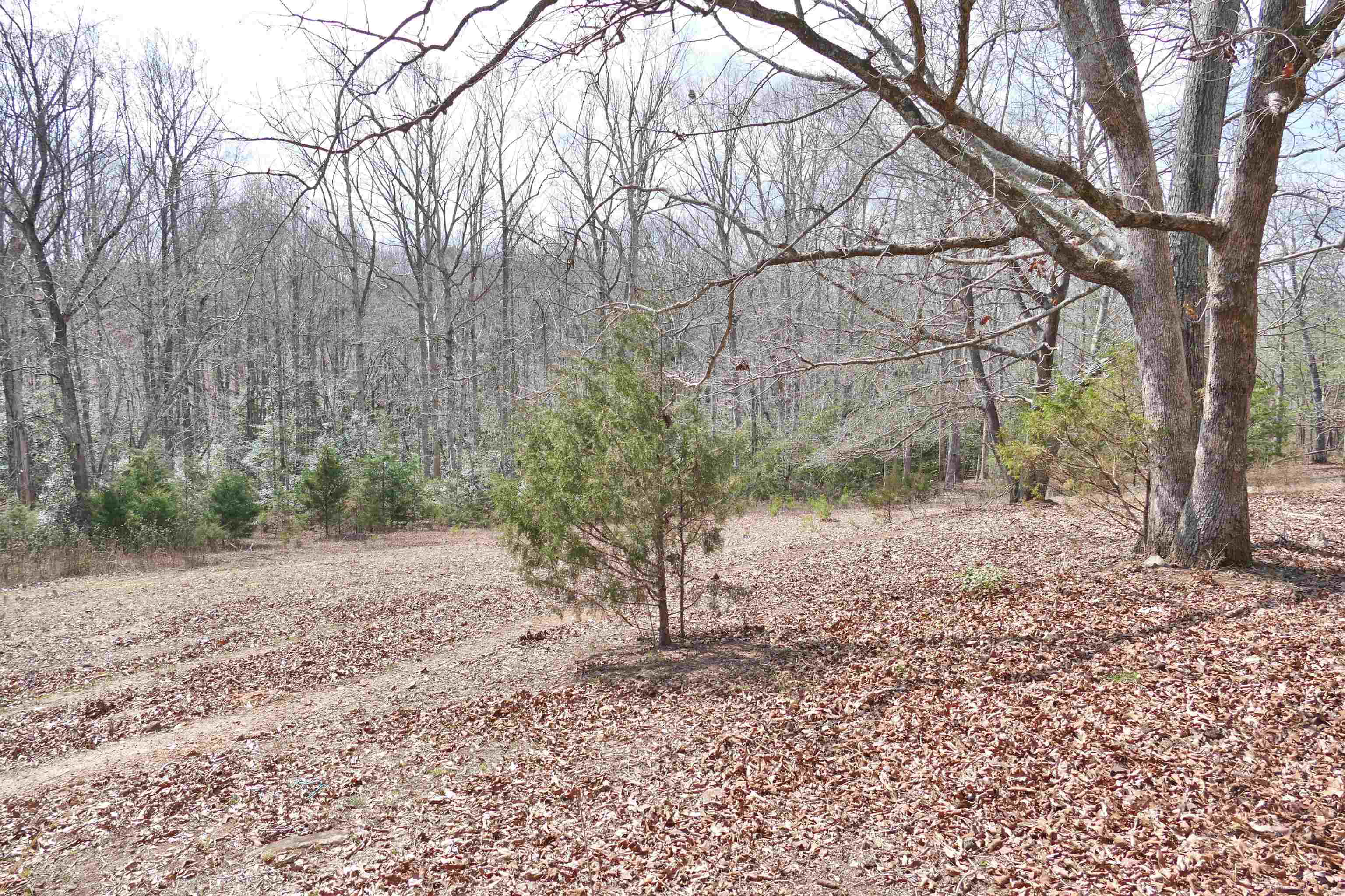 333 Ross Hill Road Gaffney, SC 29341 - Photo 19 of 32