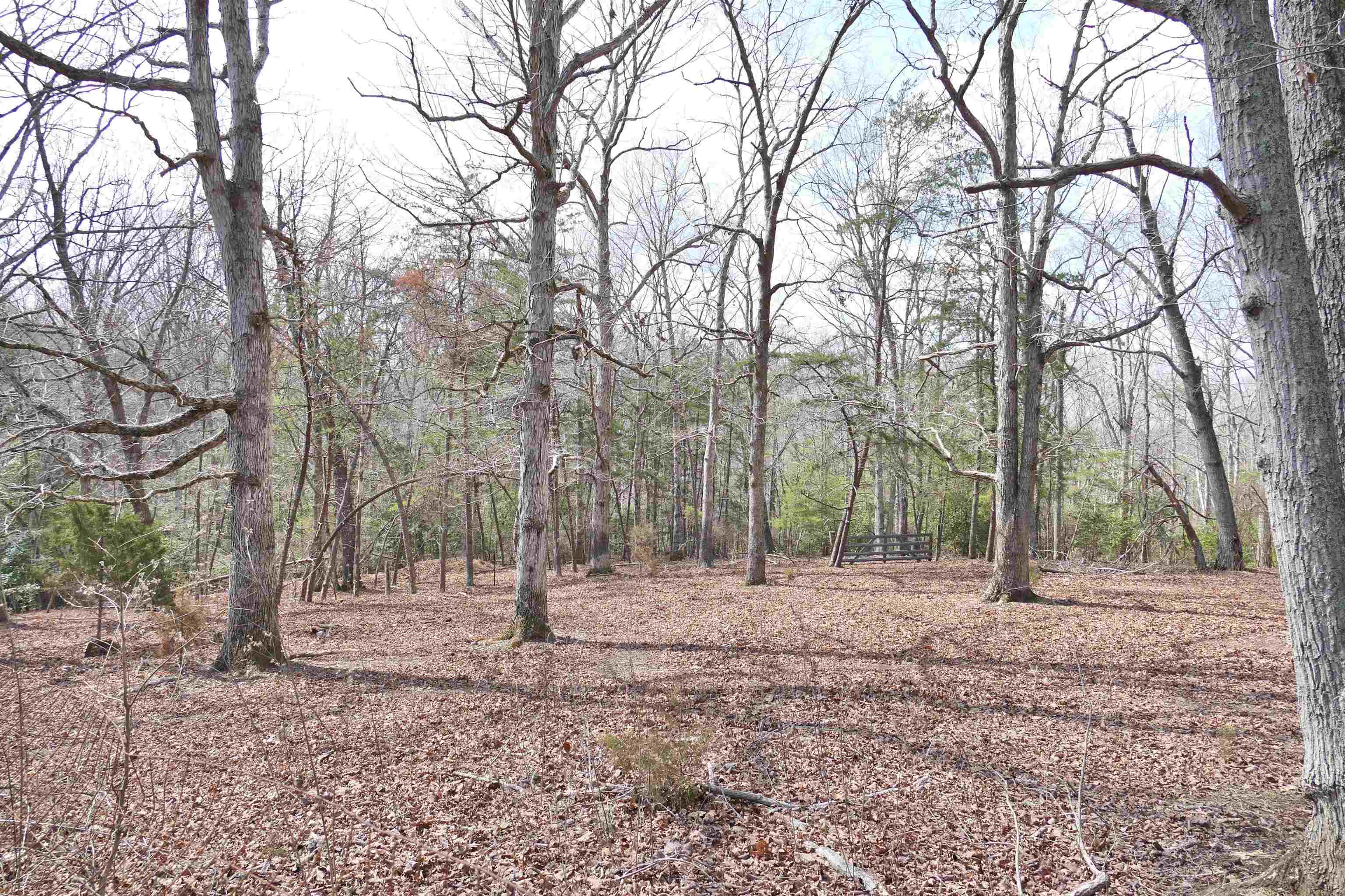 333 Ross Hill Road Gaffney, SC 29341 - Photo 20 of 32