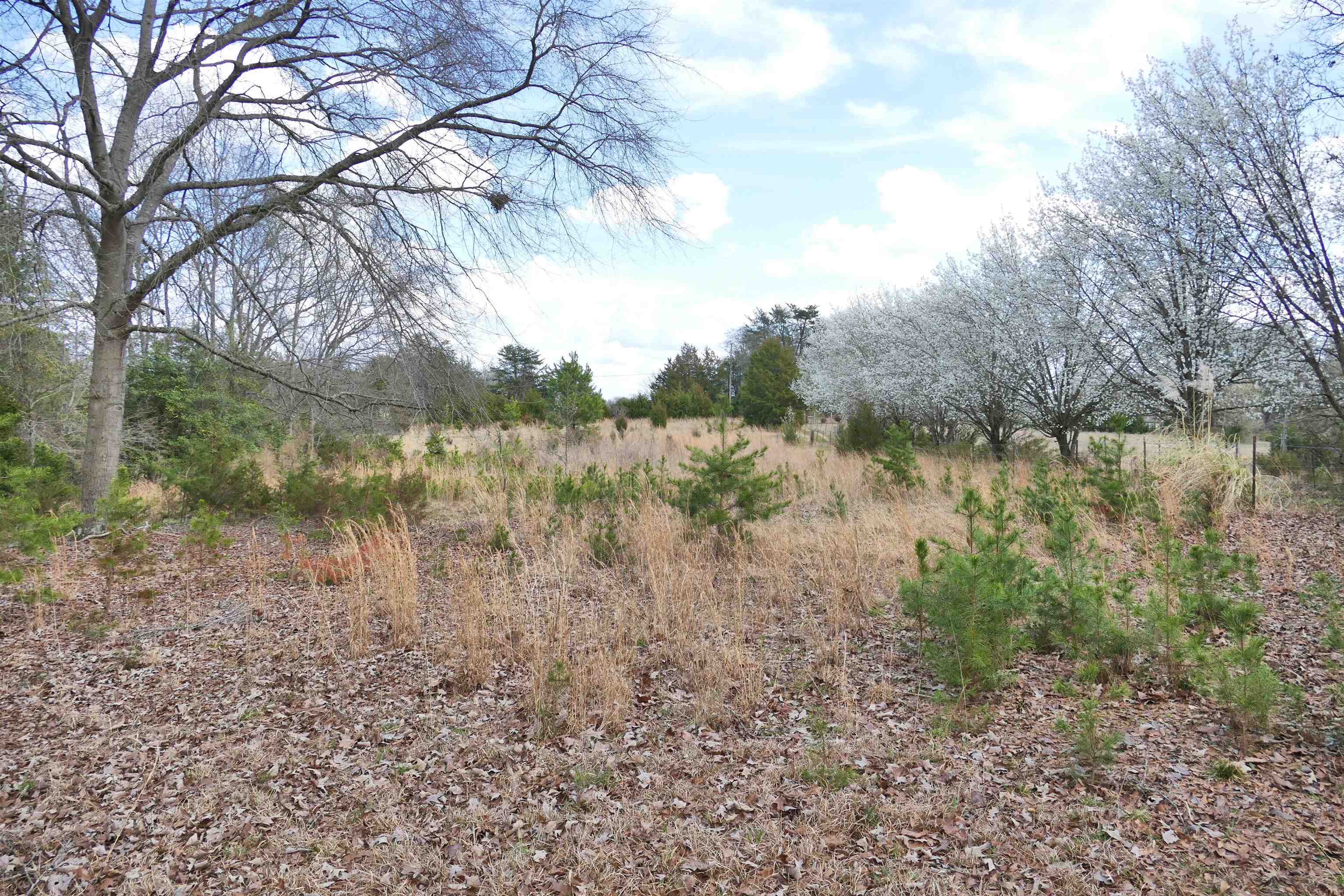 333 Ross Hill Road Gaffney, SC 29341 - Photo 25 of 32