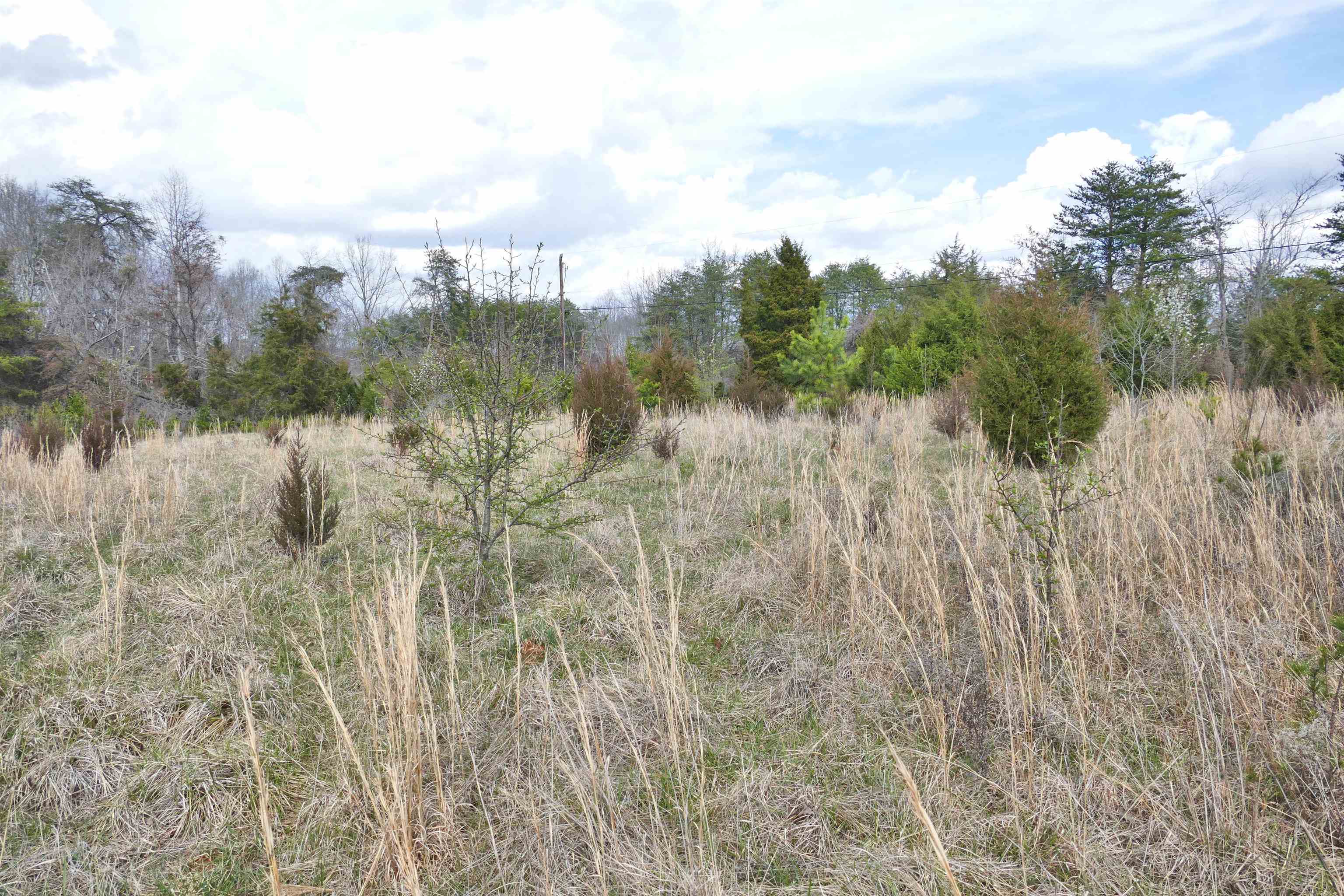 333 Ross Hill Road Gaffney, SC 29341 - Photo 26 of 32