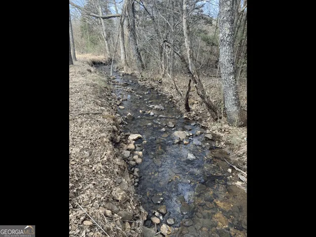 a close up of a plant
