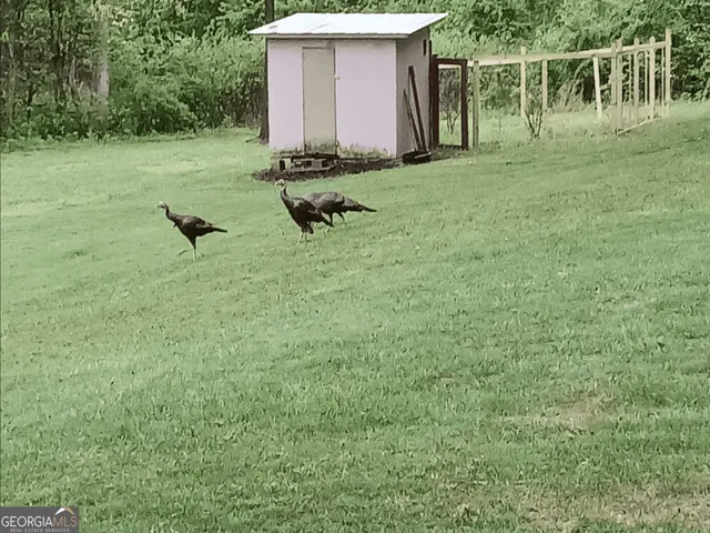 a view of outdoor space with city view
