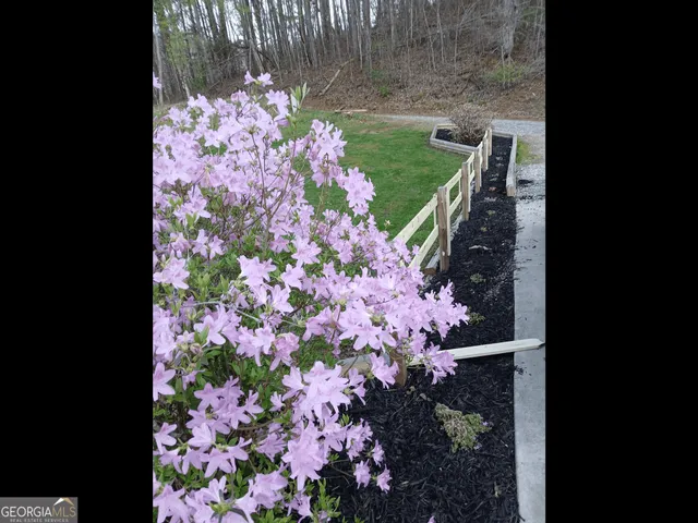 a view of outdoor space with city view