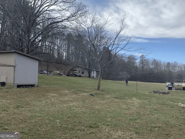 a view of a park with large trees