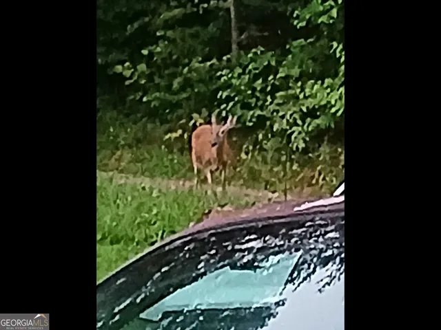 $375,000 | 187 Bierce Drive, Young Harris, GA 30582