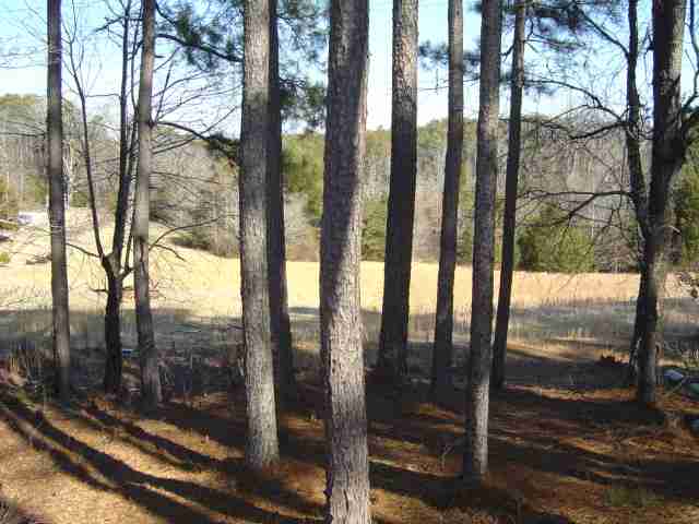 793 Rock Crusher Road Walhalla, SC 29691 - Photo 1 of 6 Gallery Image 1