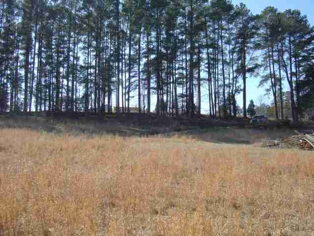 793 Rock Crusher Road Walhalla, SC 29691 - Photo 3 of 6 Gallery Image 3