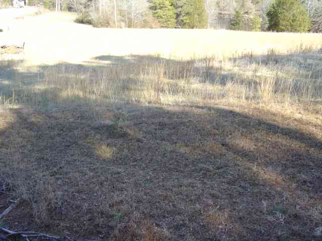 793 Rock Crusher Road Walhalla, SC 29691 - Photo 4 of 6 Gallery Image 4