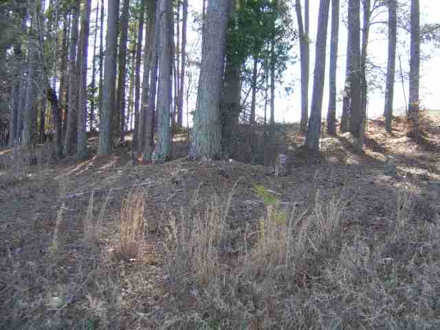 793 Rock Crusher Road Walhalla, SC 29691 - Photo 5 of 6 Gallery Image 5