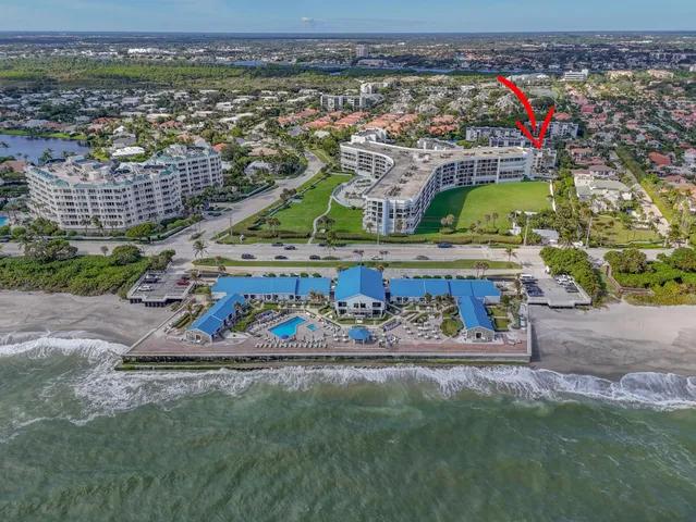 a view of a palm trees front of house
