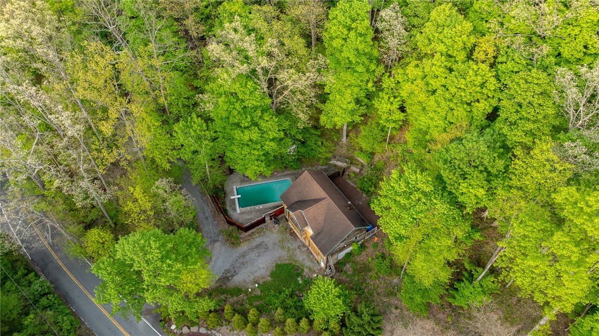 7733 Lower Fishers Road Victor, NY 14564 - Photo 48 of 50