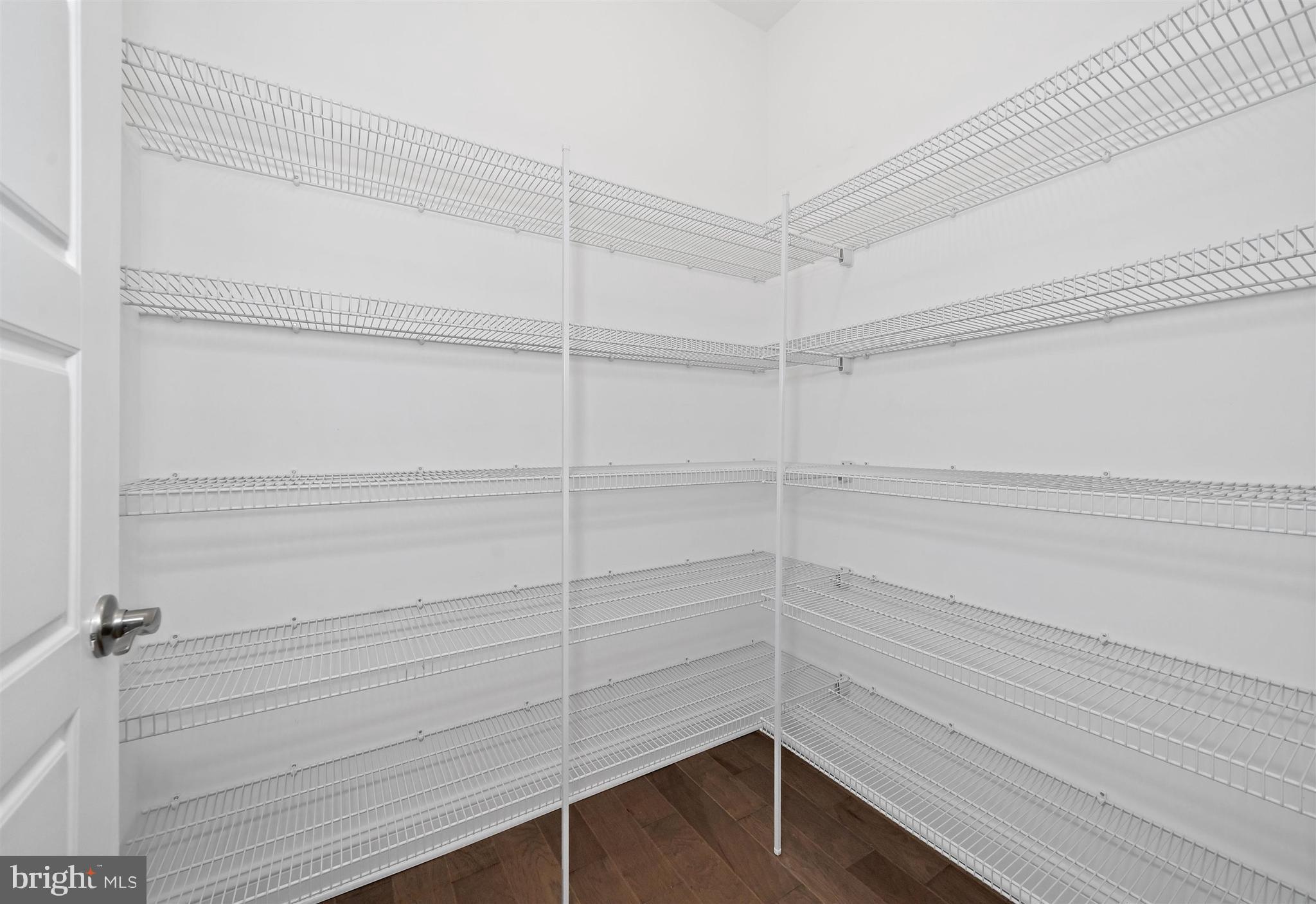 22144 Welches Way Lewes, DE 19958 - Photo 42 of 77 a view of walk in closet