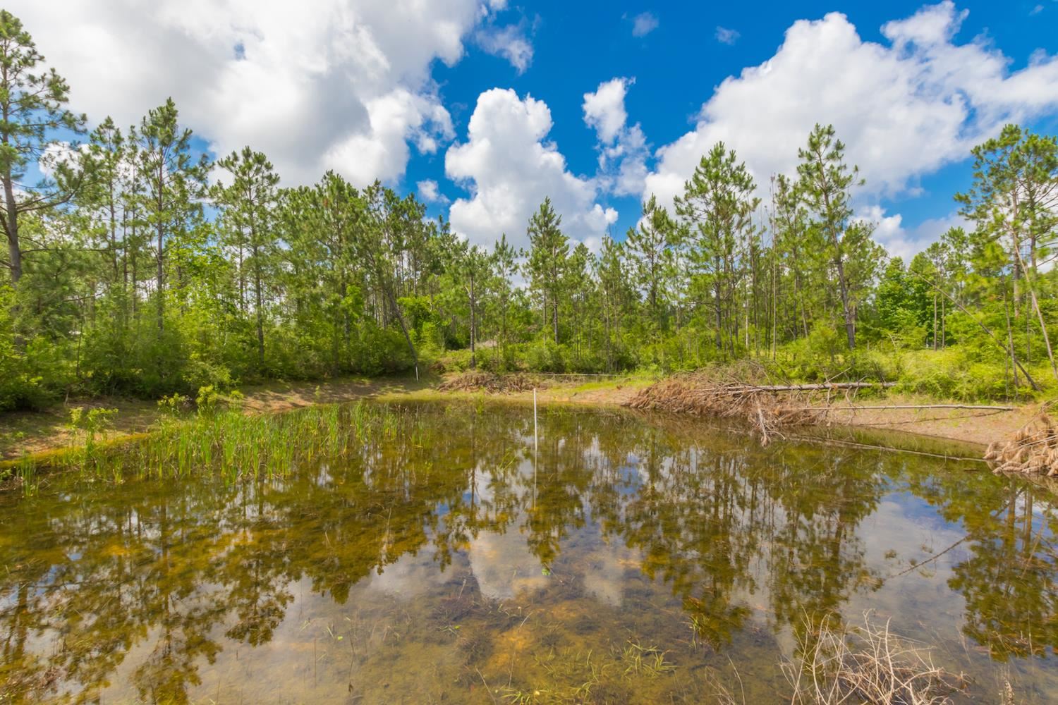 29401 Archie Road Elberta, AL 36530 - Photo 33 of 34