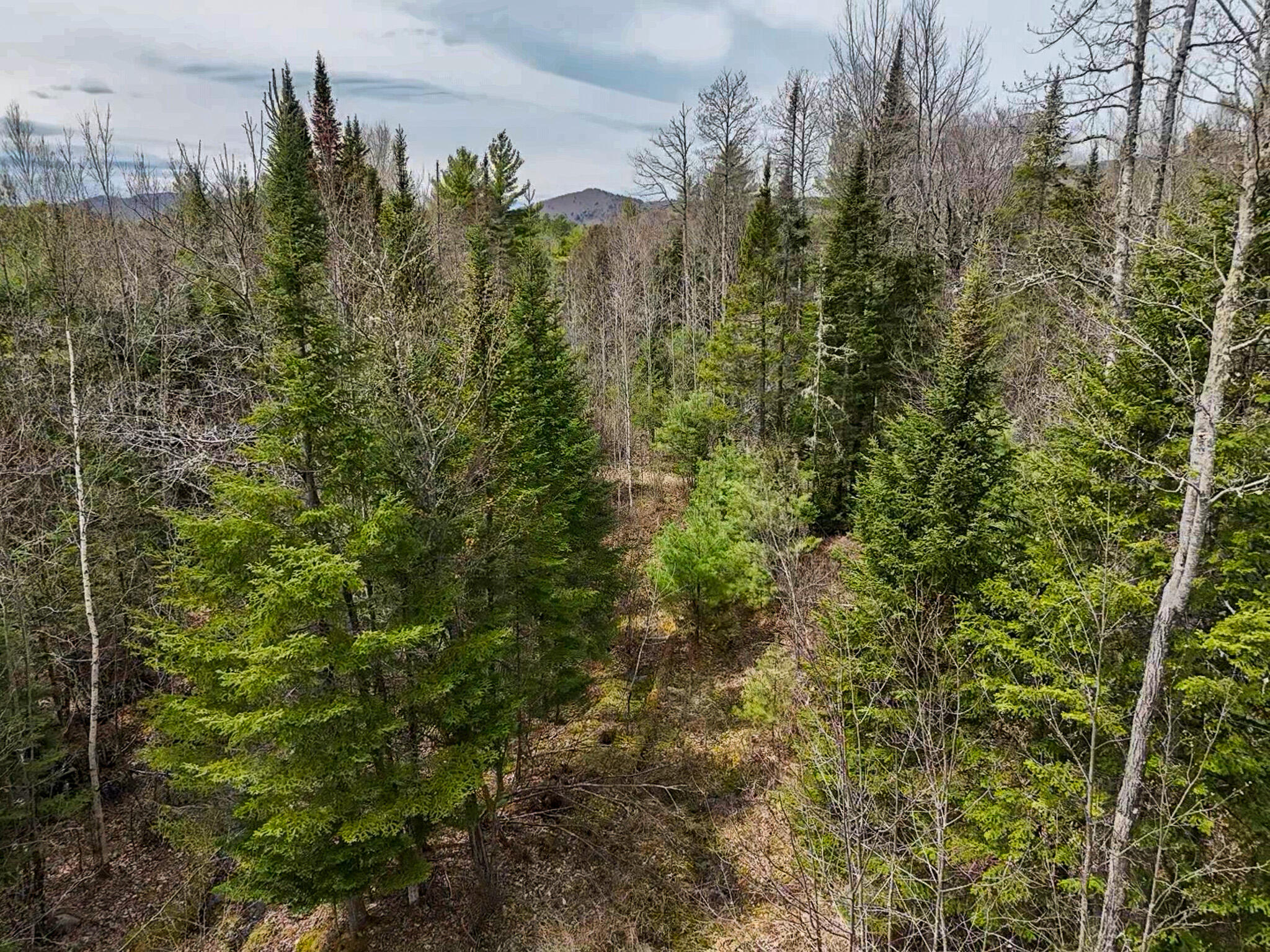 0 West Side Road Dixfield, ME 04224 - Photo 8 of 10 2026-05-09-11-44-52-469