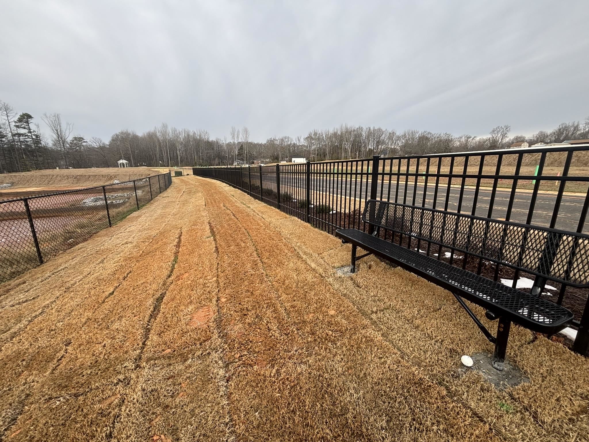 118 Brayden Run Woodruff, SC 29388 - Photo 17 of 21