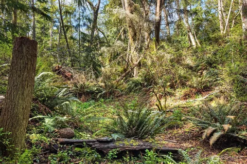 $135,000 | 8042 Island Court, Clinton, WA 98236