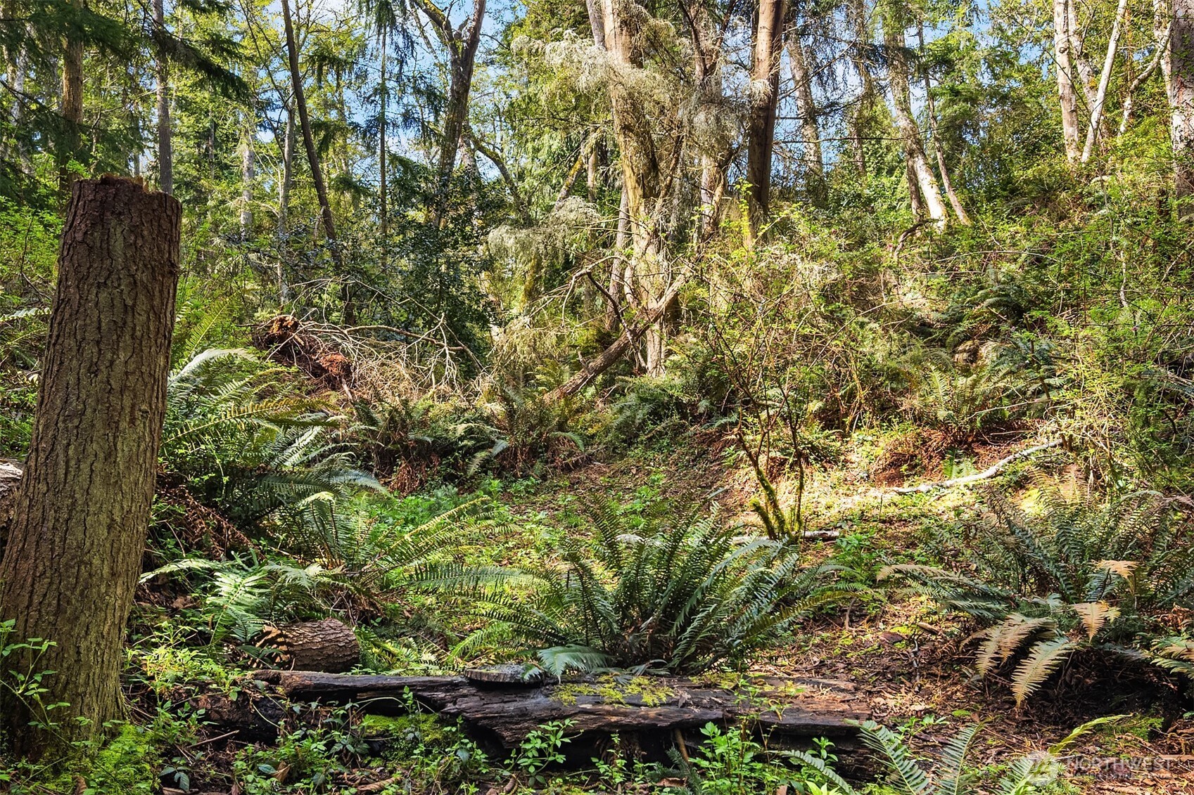 8042 Island Court Clinton, WA 98236 - Photo 2 of 12