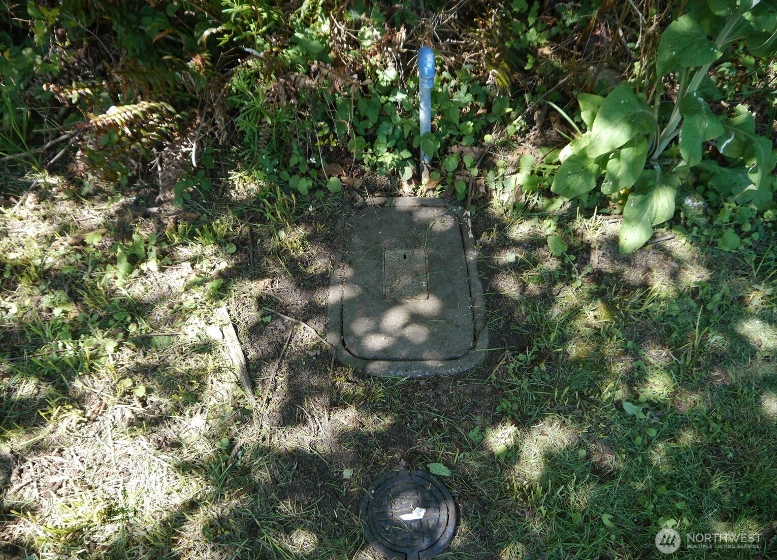 8042 Island Court Clinton, WA 98236 - Photo 5 of 20