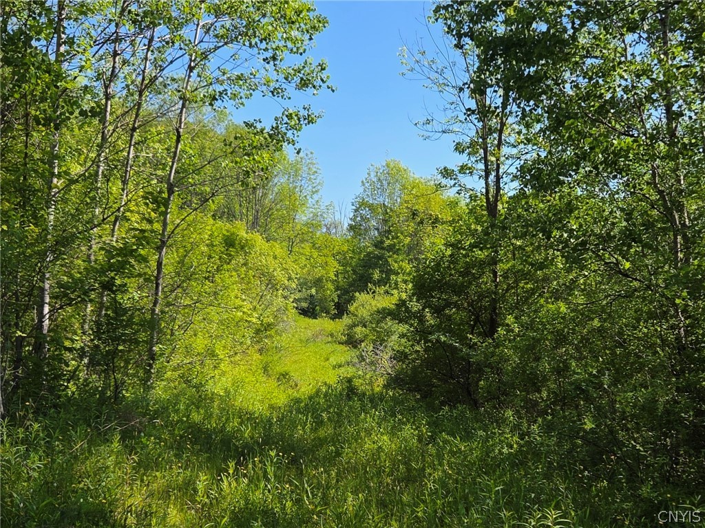 446 Nys Route Cuba, NY 14727 - Photo 41 of 47
