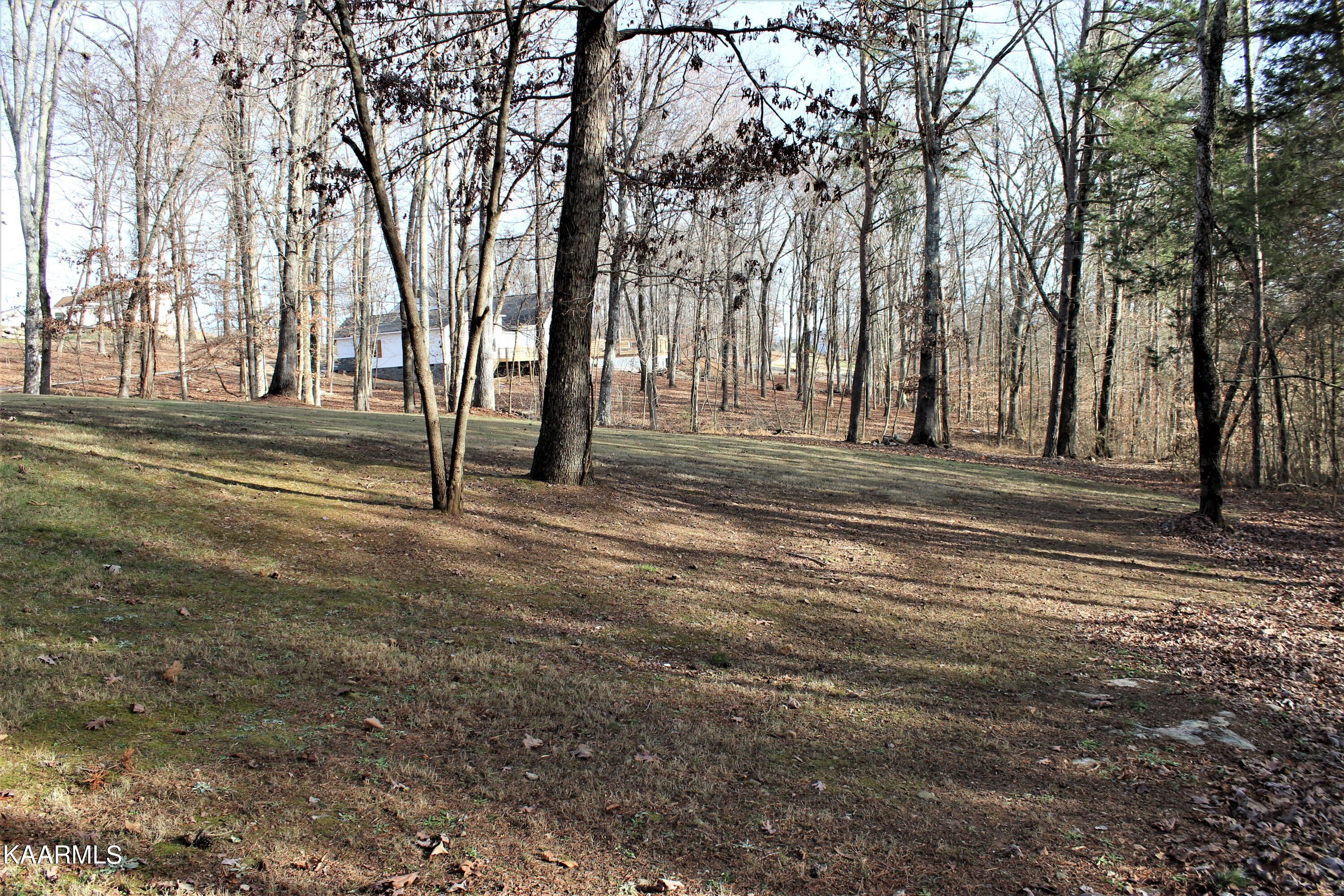 194 Cherokee Cove Rutledge, TN 37861 - Photo 13 of 38 Side Yard