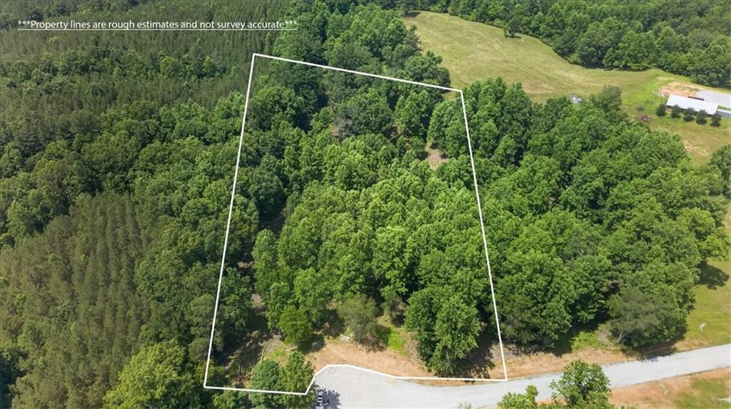 0 Conns Creek Road Ball Ground, GA 30107 - Photo 26 of 57
