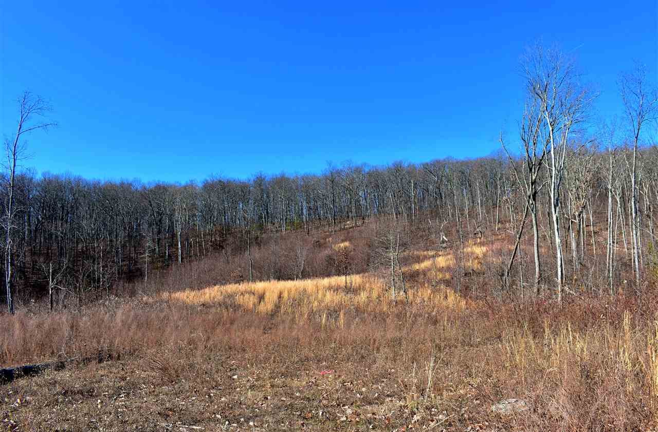 767 Big Ridge Road Spring City, TN 37381 - Photo 1 of 12 Gallery Image 1