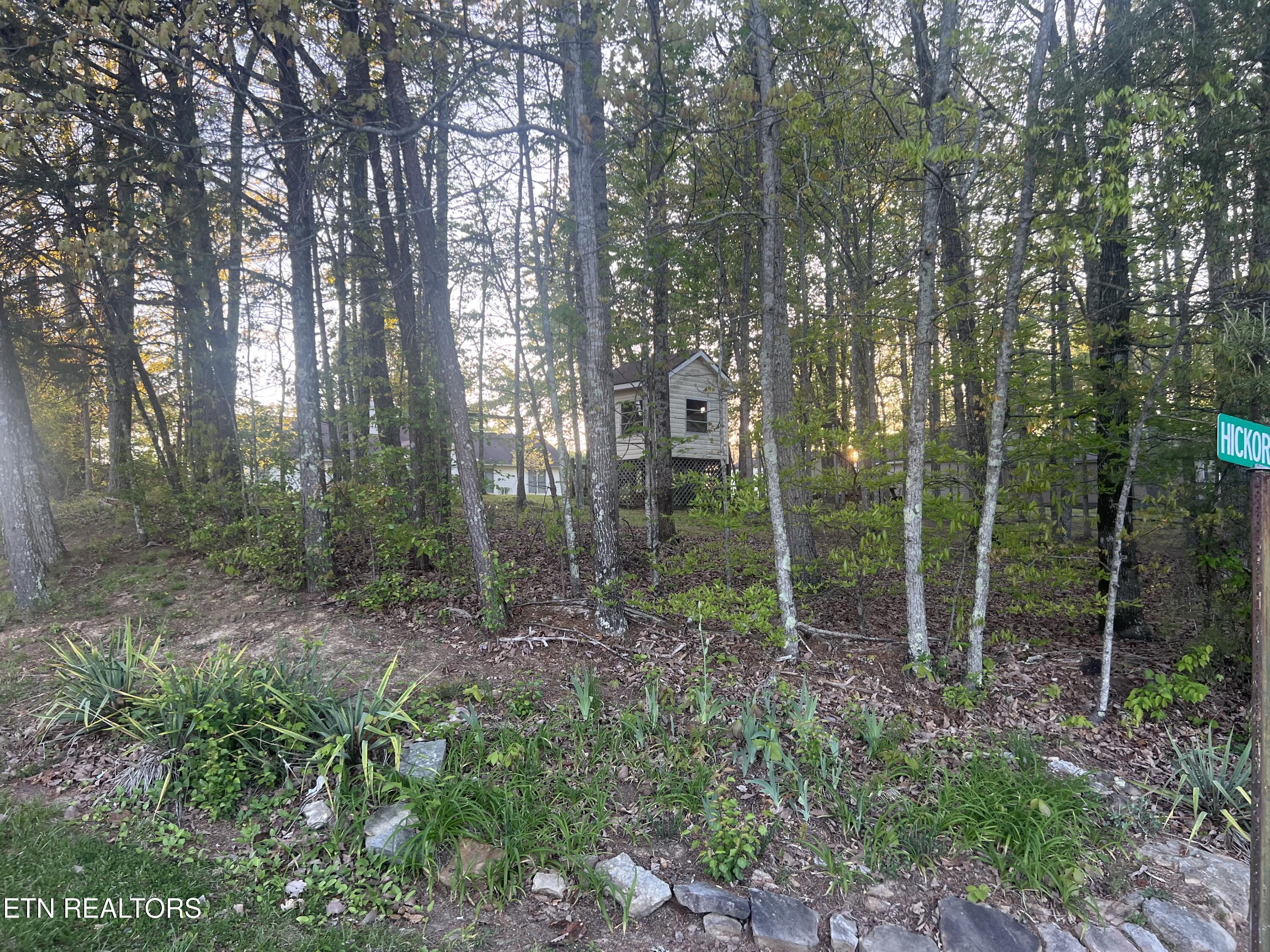 31 Chestnut Oak Road Crossville, TN 38571 - Photo 19 of 41 IMG_4049