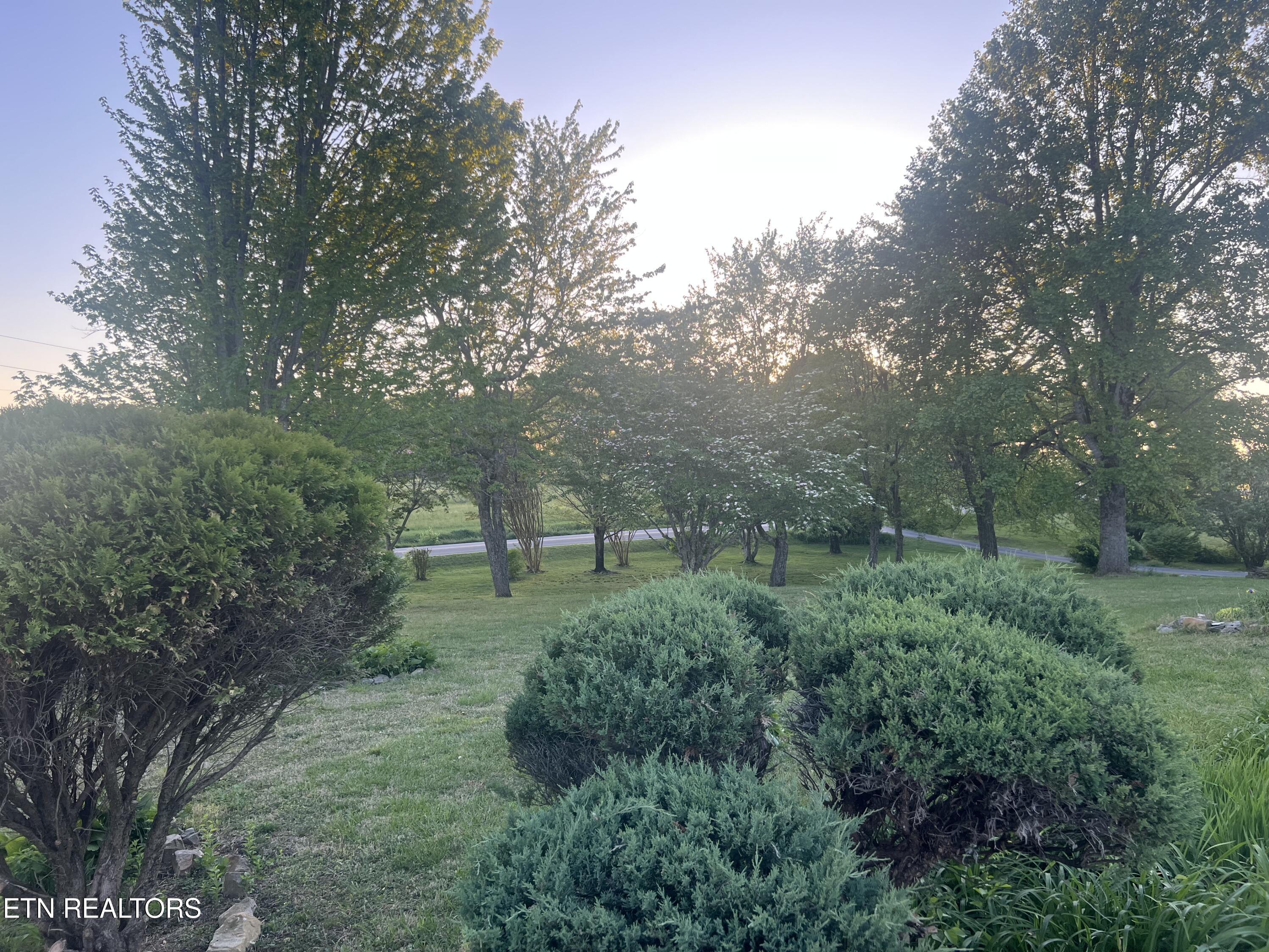 31 Chestnut Oak Road Crossville, TN 38571 - Photo 21 of 41 IMG_4044