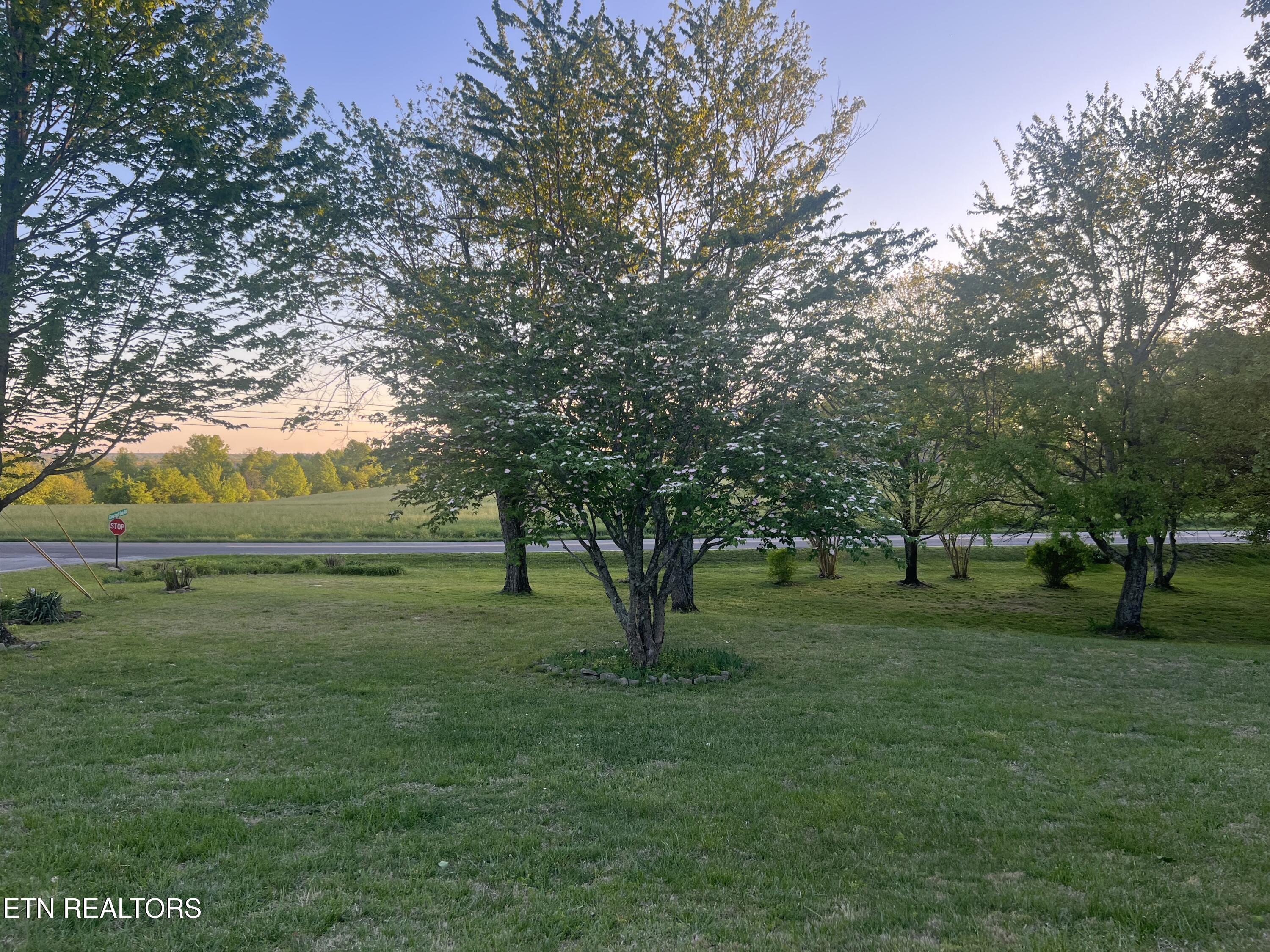31 Chestnut Oak Road Crossville, TN 38571 - Photo 22 of 41 IMG_4038