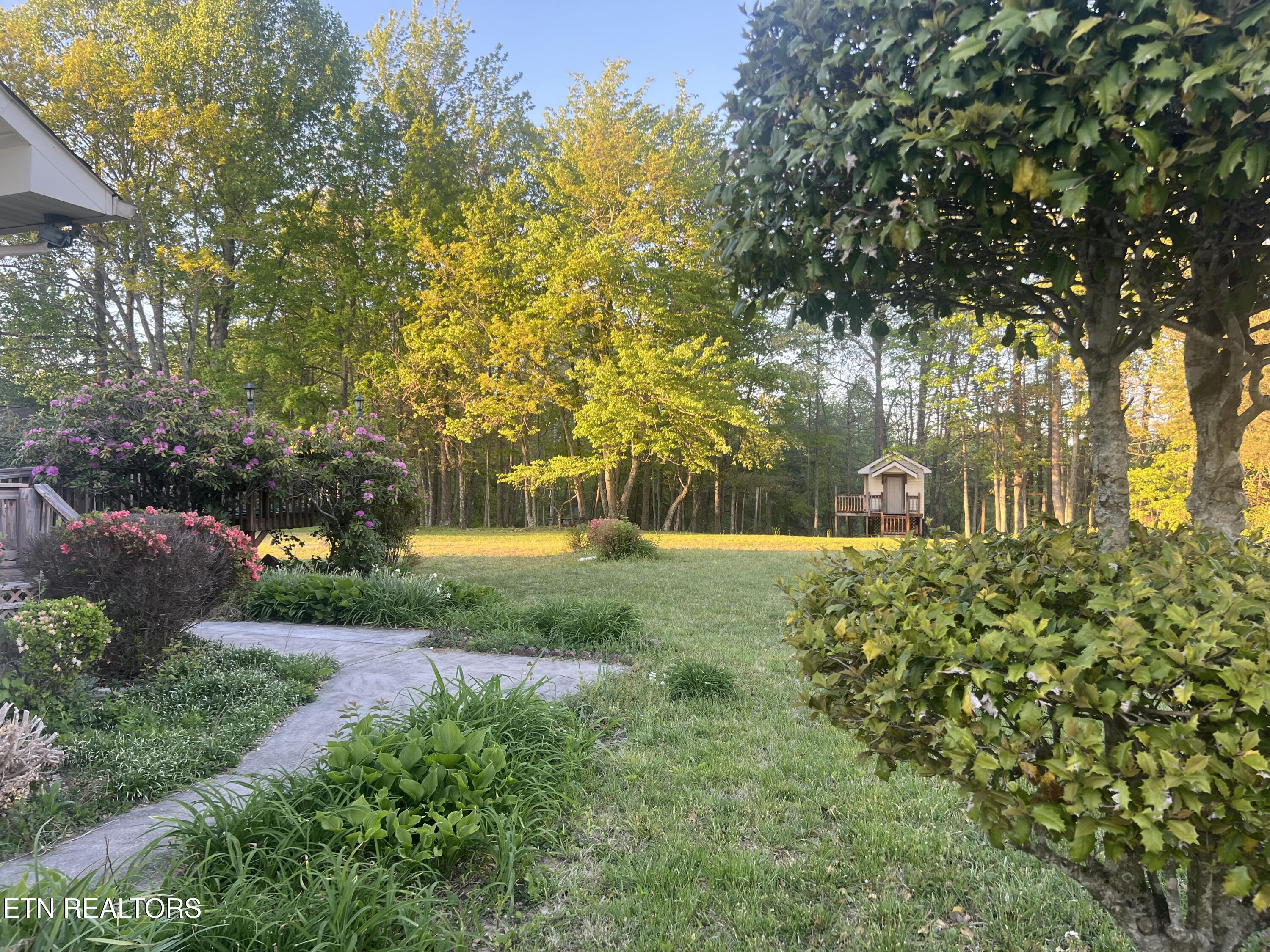 31 Chestnut Oak Road Crossville, TN 38571 - Photo 5 of 41 IMG_4018