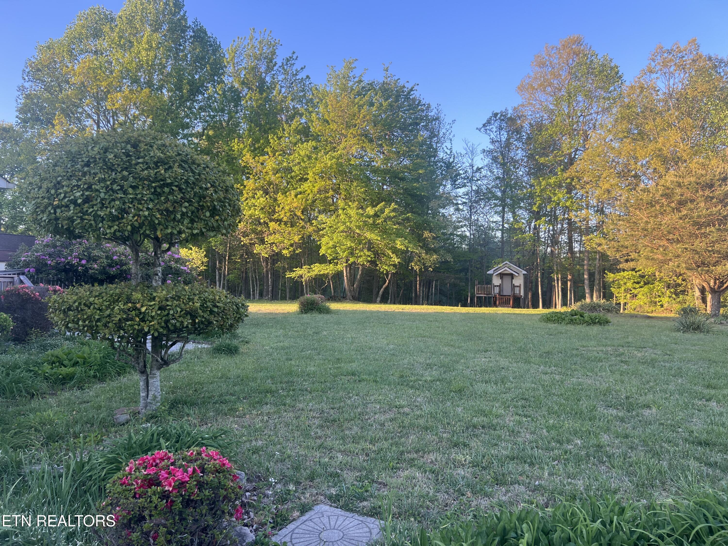 31 Chestnut Oak Road Crossville, TN 38571 - Photo 7 of 41 IMG_4017