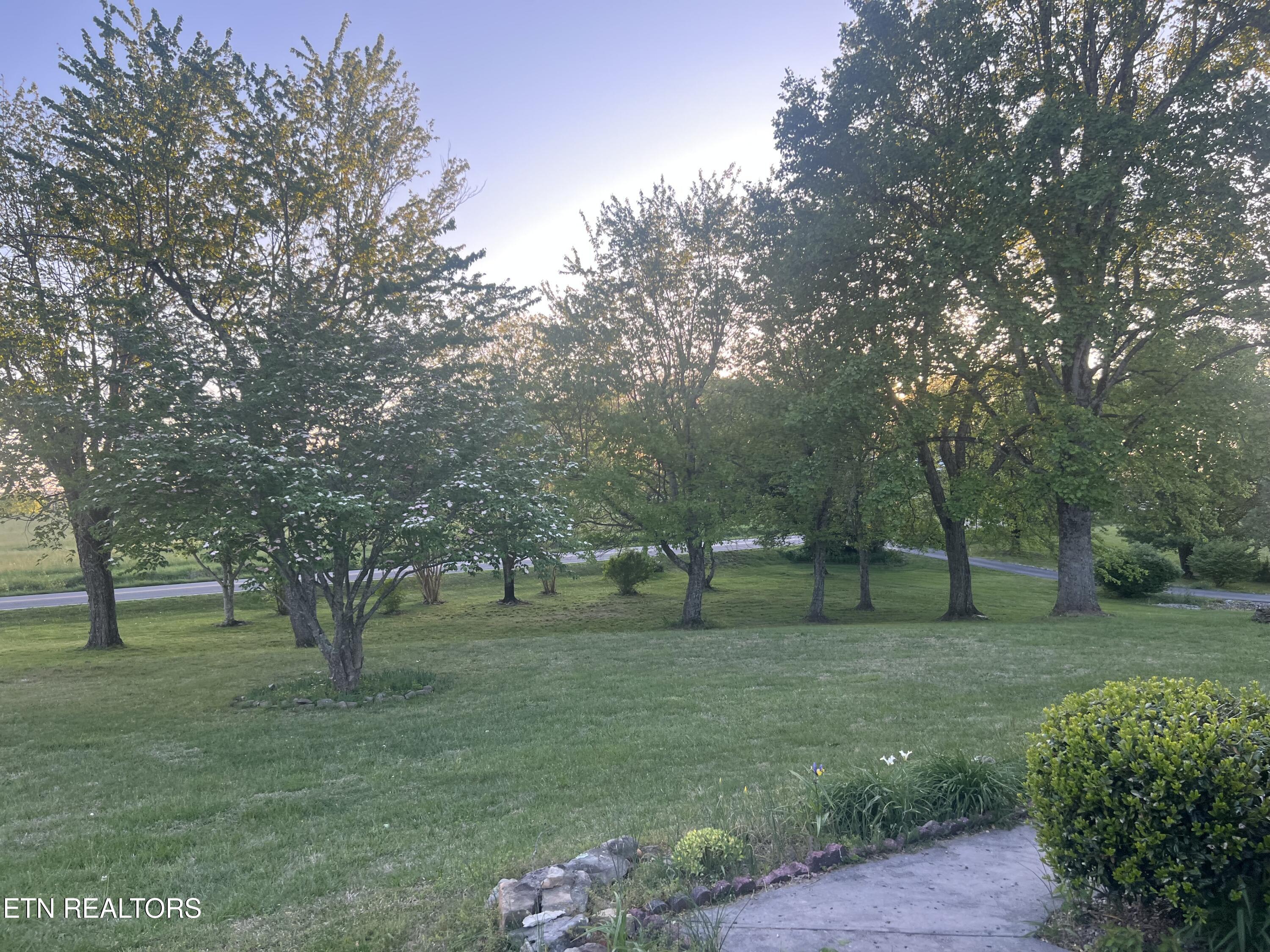 31 Chestnut Oak Road Crossville, TN 38571 - Photo 8 of 41 IMG_4032