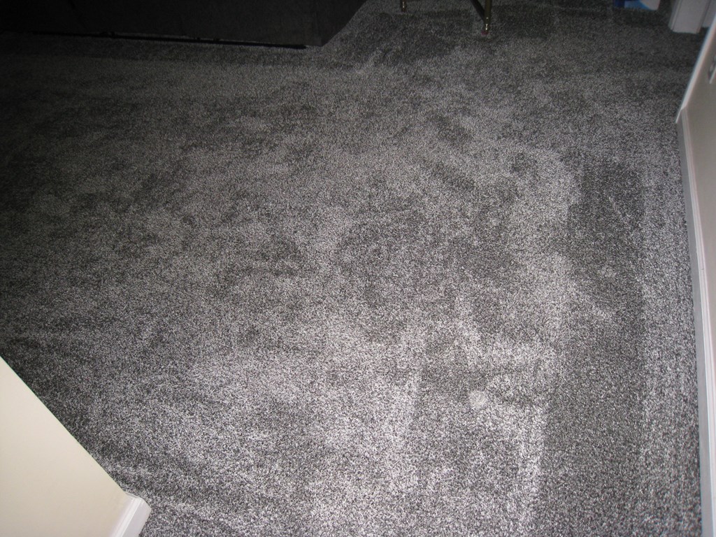 3007 Alamo Court Columbus, GA 31907 - Photo 11 of 24