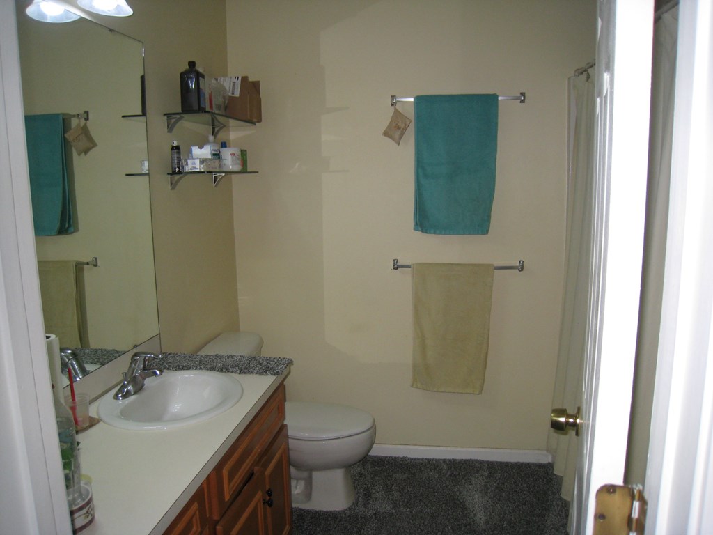3007 Alamo Court Columbus, GA 31907 - Photo 16 of 24 a bathroom with a sink toilet and shower