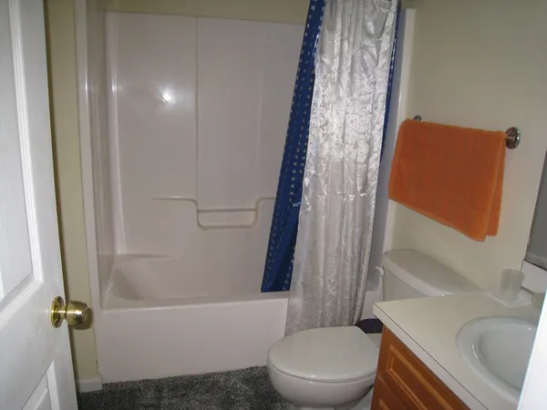 a white toilet sitting next to a shower curtain