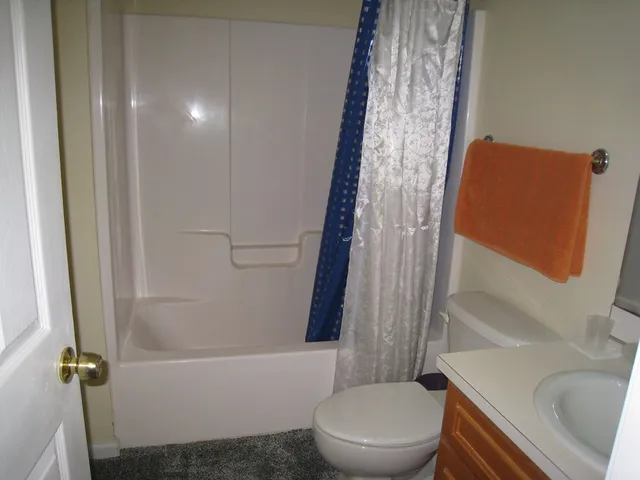 a white toilet sitting next to a shower curtain
