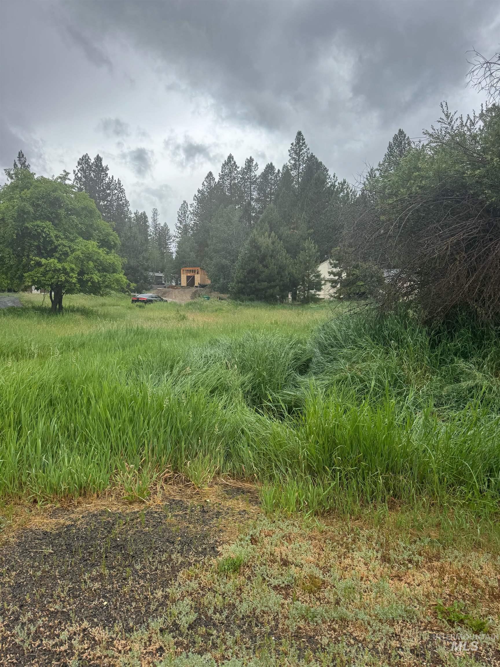 401 Basque Drive Cascade, ID 83611 - Photo 7 of 7