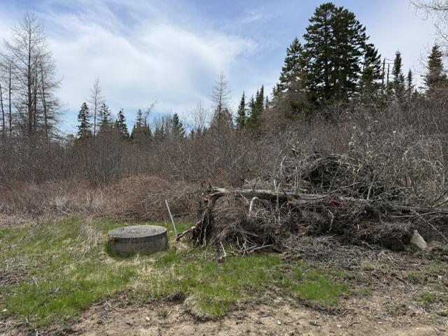 Lot 5 Holmes Bay Farms Road Whiting, ME 04691 - Photo 15 of 23 IMG_9107 (1)