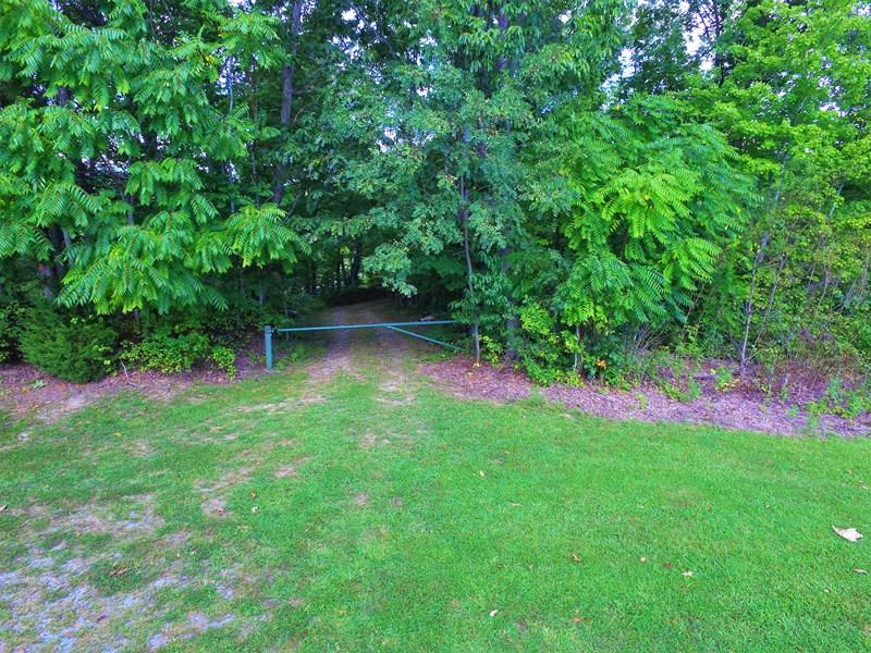 607 Dryhill Road Ferrum, VA 24088 - Photo 3 of 27 a view of green field with plants in front of it
