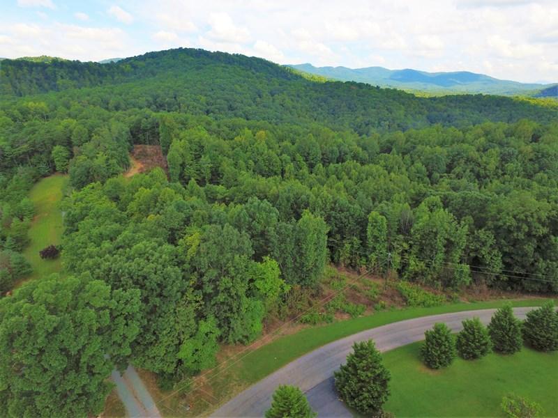 607 Dryhill Road Ferrum, VA 24088 - Photo 26 of 27 a view of a lush green hillside and mountains
